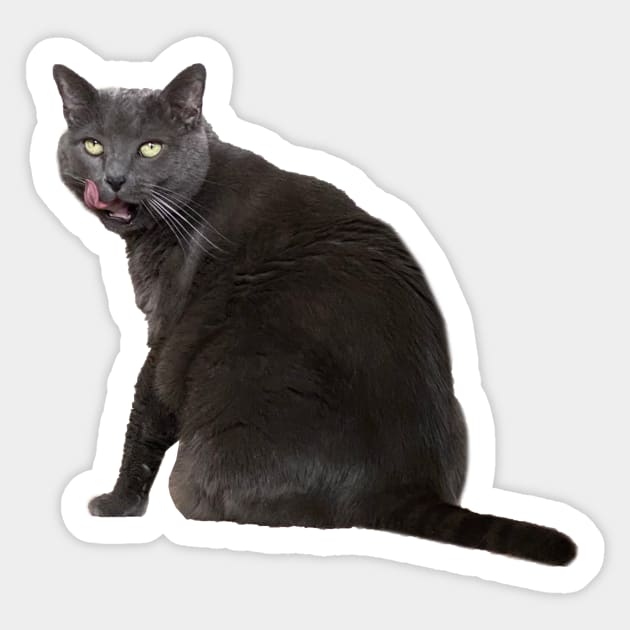 Russian Blue Cat Sticker by Kelly Louise Art